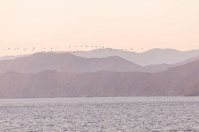 Sunset Flight