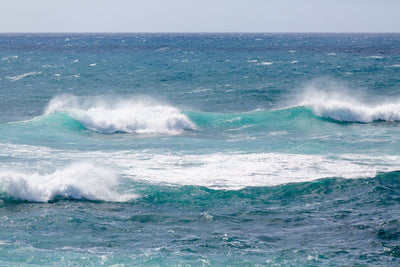Lets Make Waves 8X12 / Print Only Prints