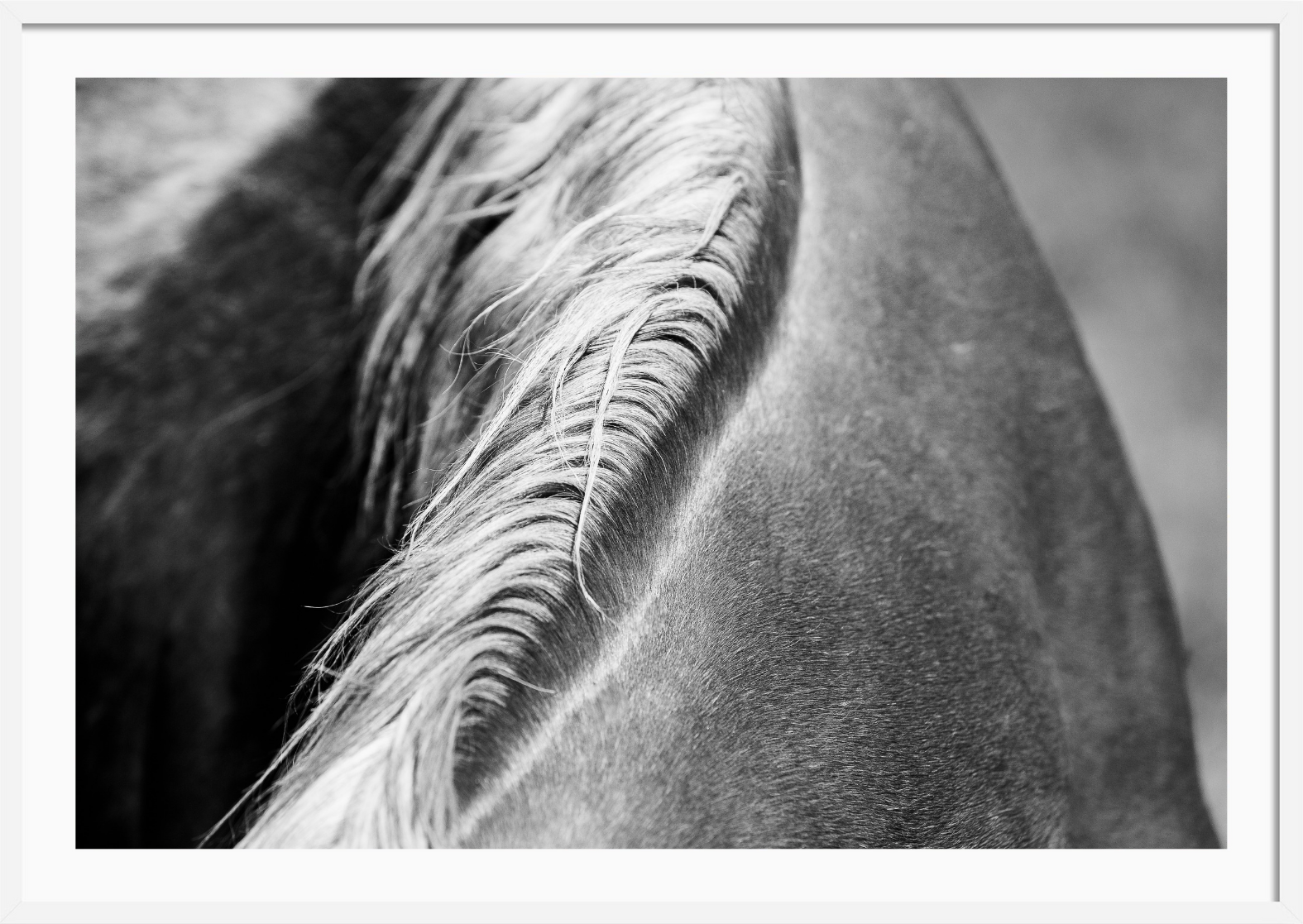 Mane