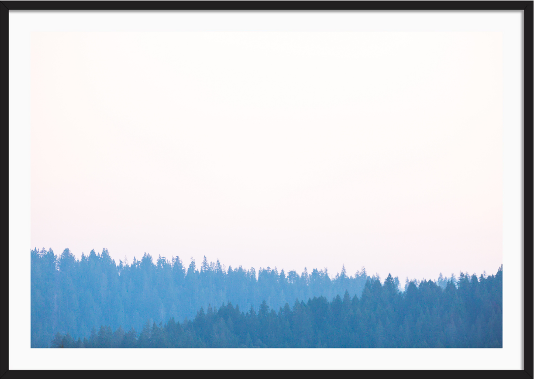 Mendocino Redwoods Sunset