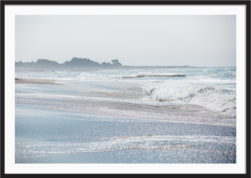 Mendocino Sea Spray