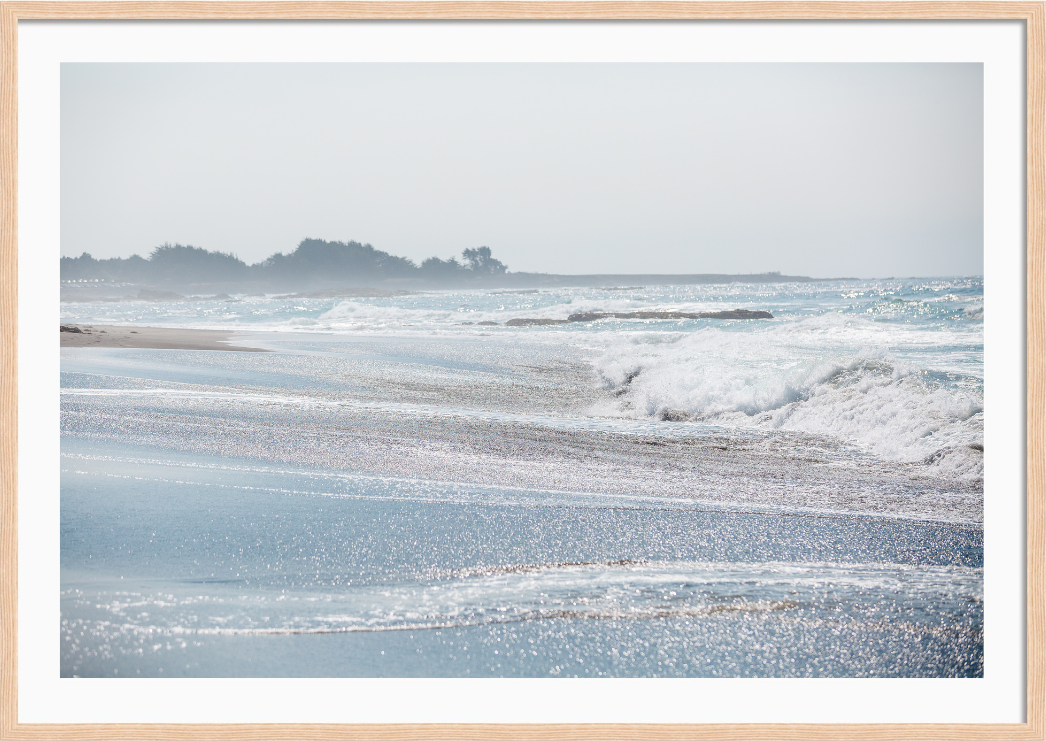 Mendocino Sea Spray