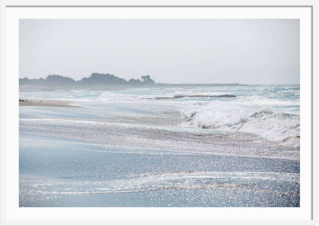 Mendocino Sea Spray