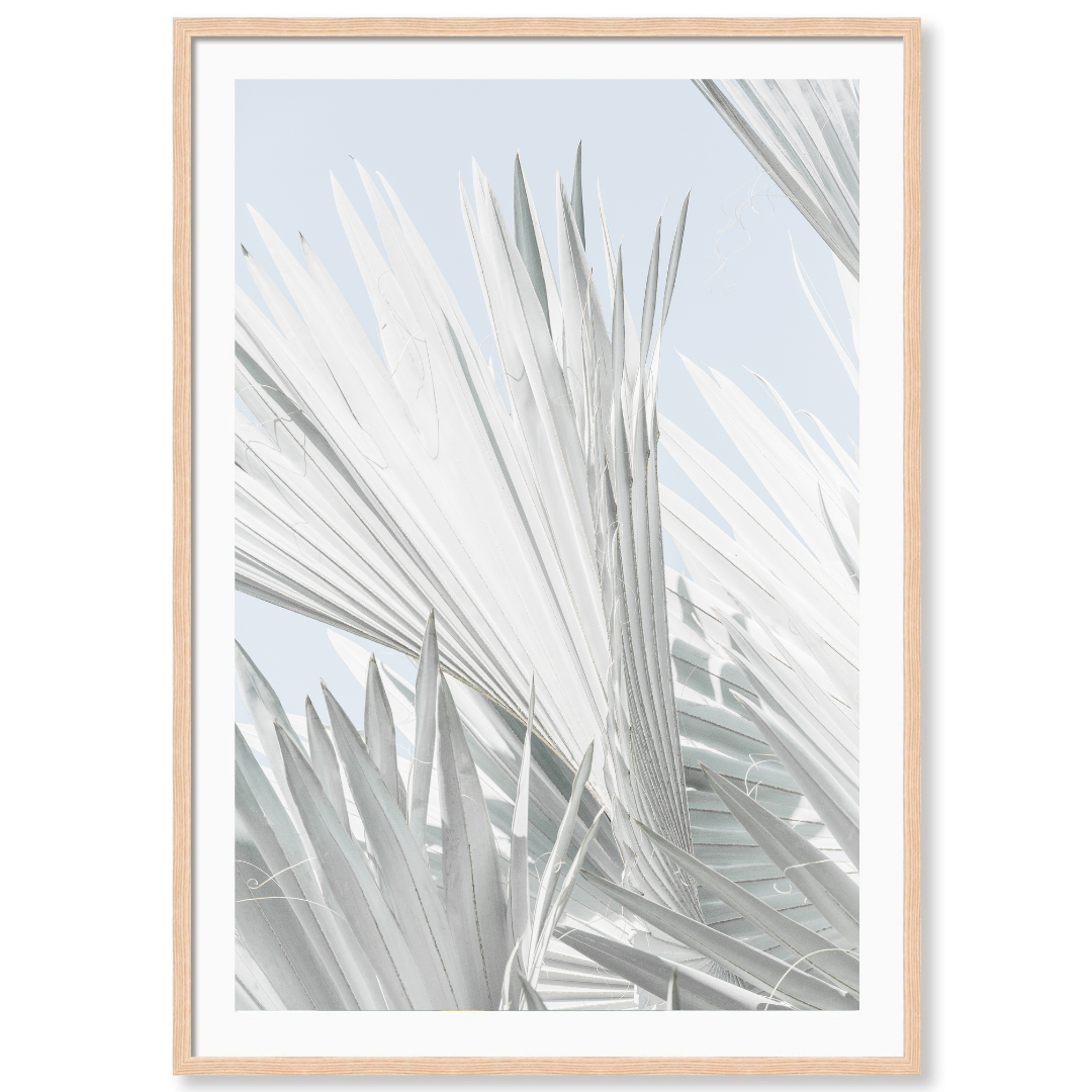 Mint Palm 2