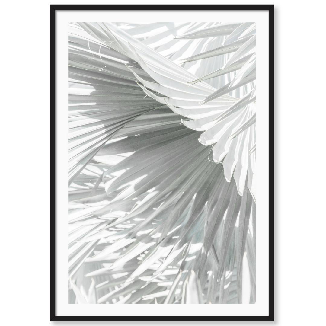 Mint Palm 3