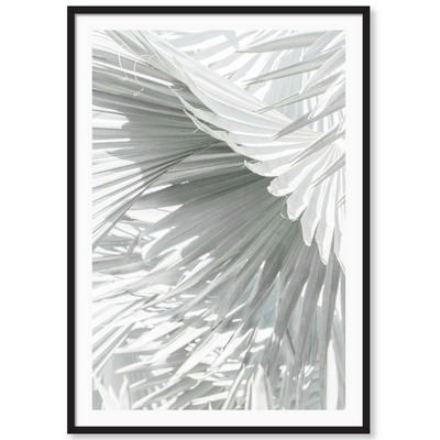 Mint Palm 3