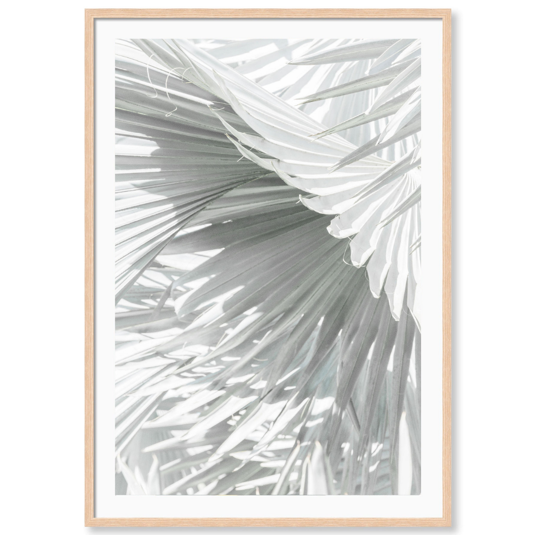 Mint Palm 3