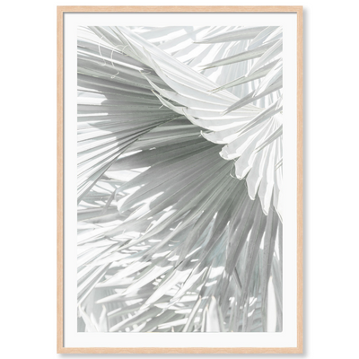 Mint Palm 3