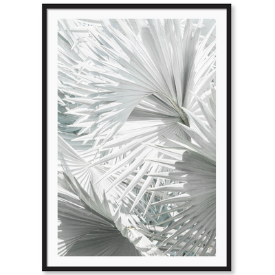 Mint Palm 4