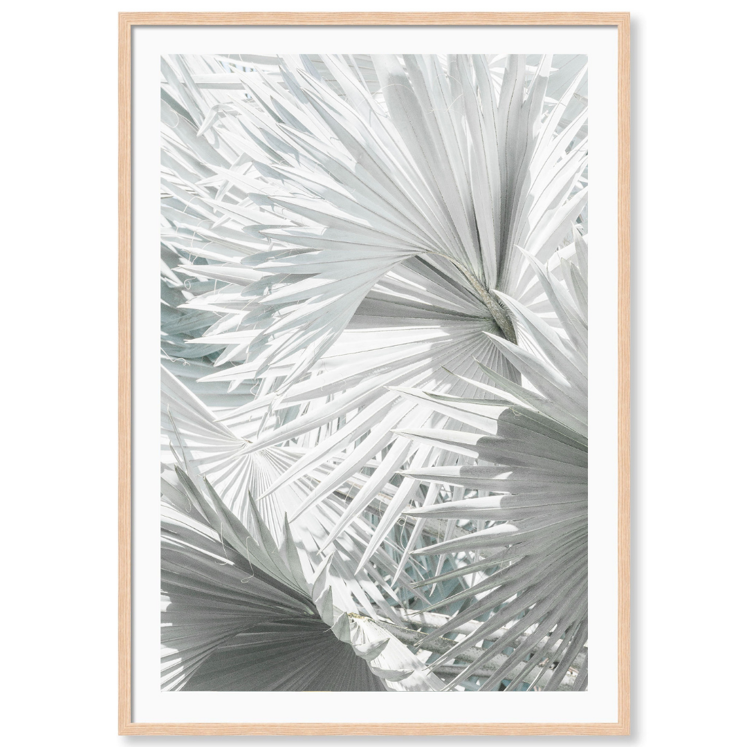 Mint Palm 4