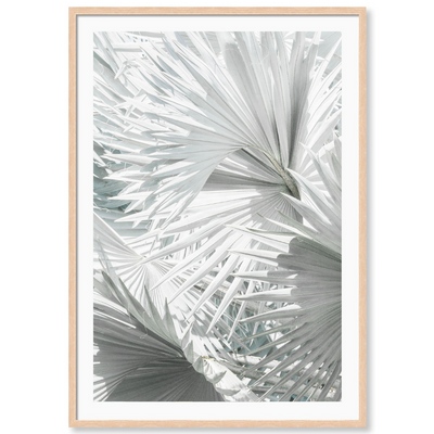 Mint Palm 4