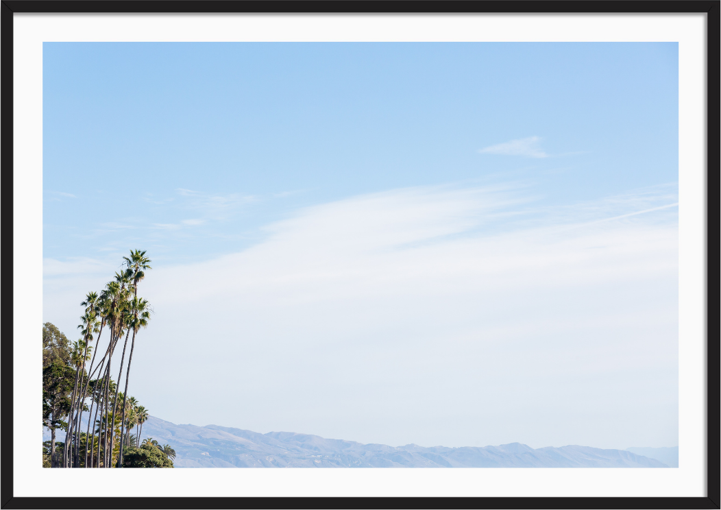 Montecito Palms