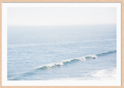 Newport Beach Coast
