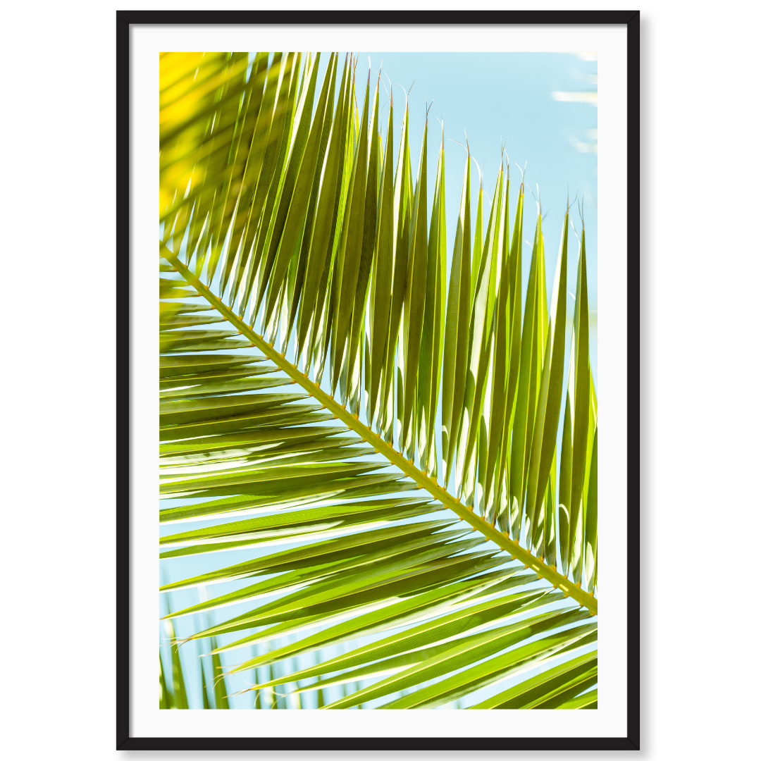 Palm 2