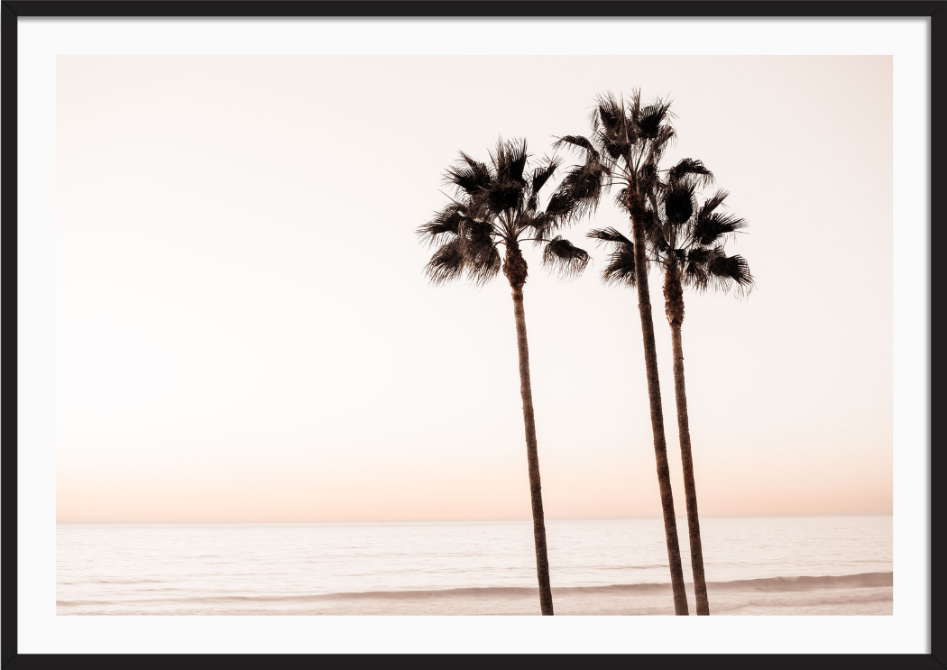 Peach Sunset Palms