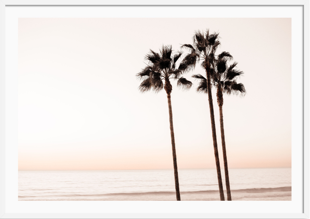 Peach Sunset Palms
