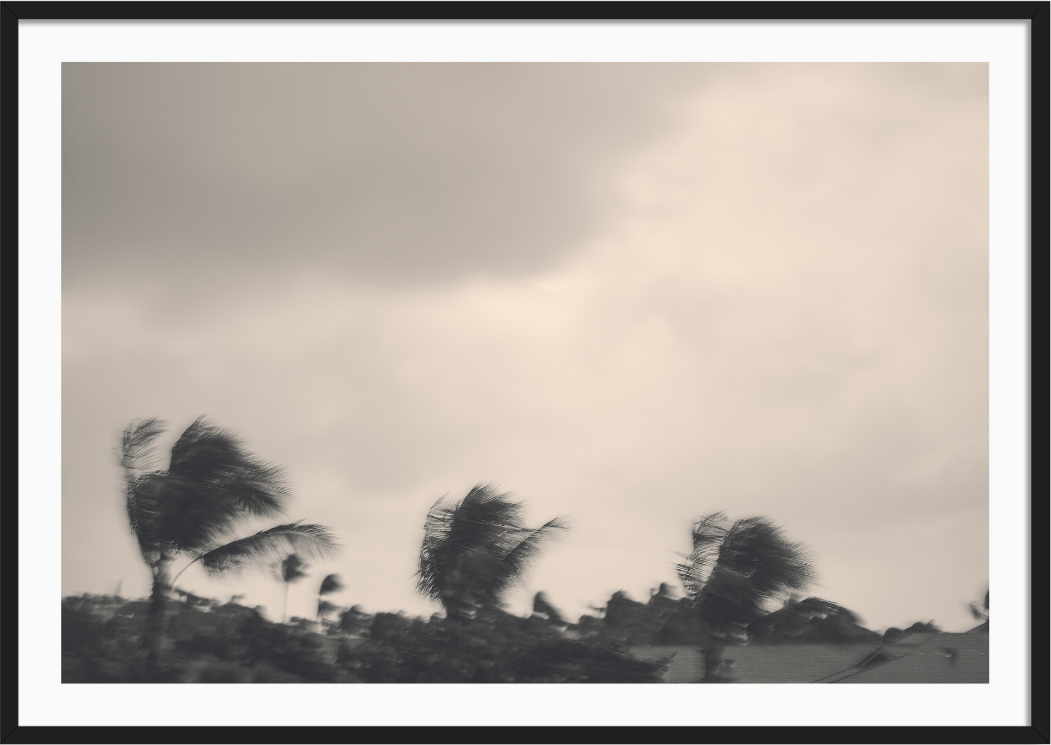 Quiet Storm