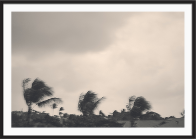 Quiet Storm
