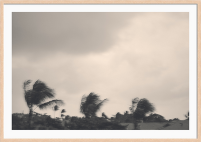 Quiet Storm