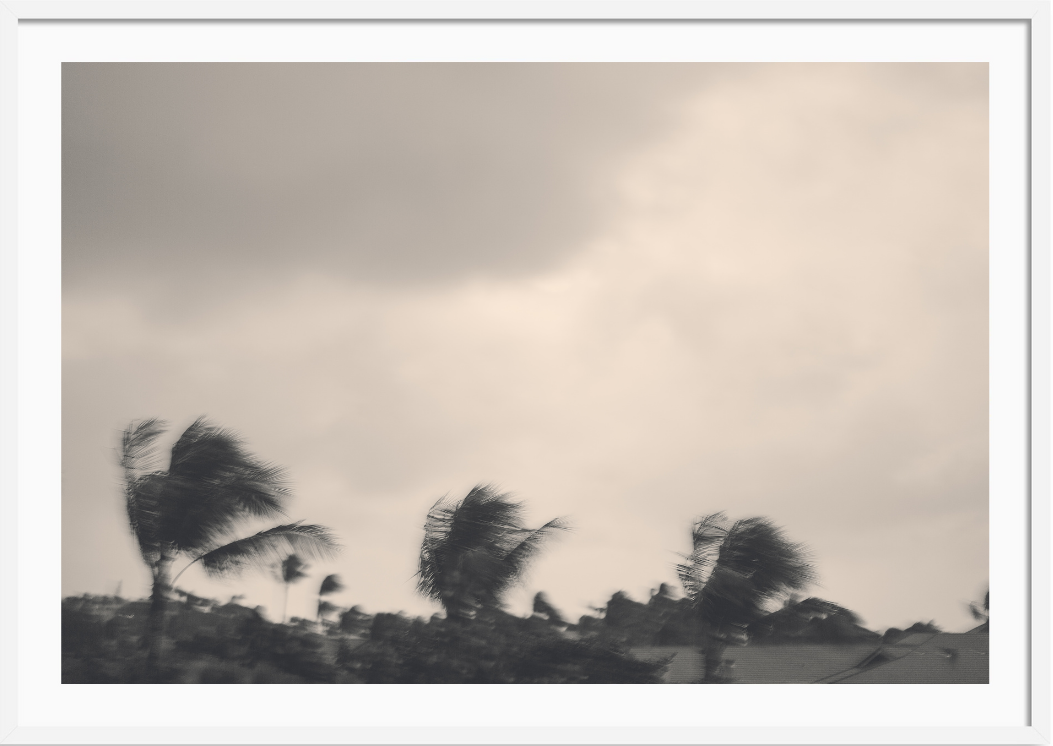 Quiet Storm