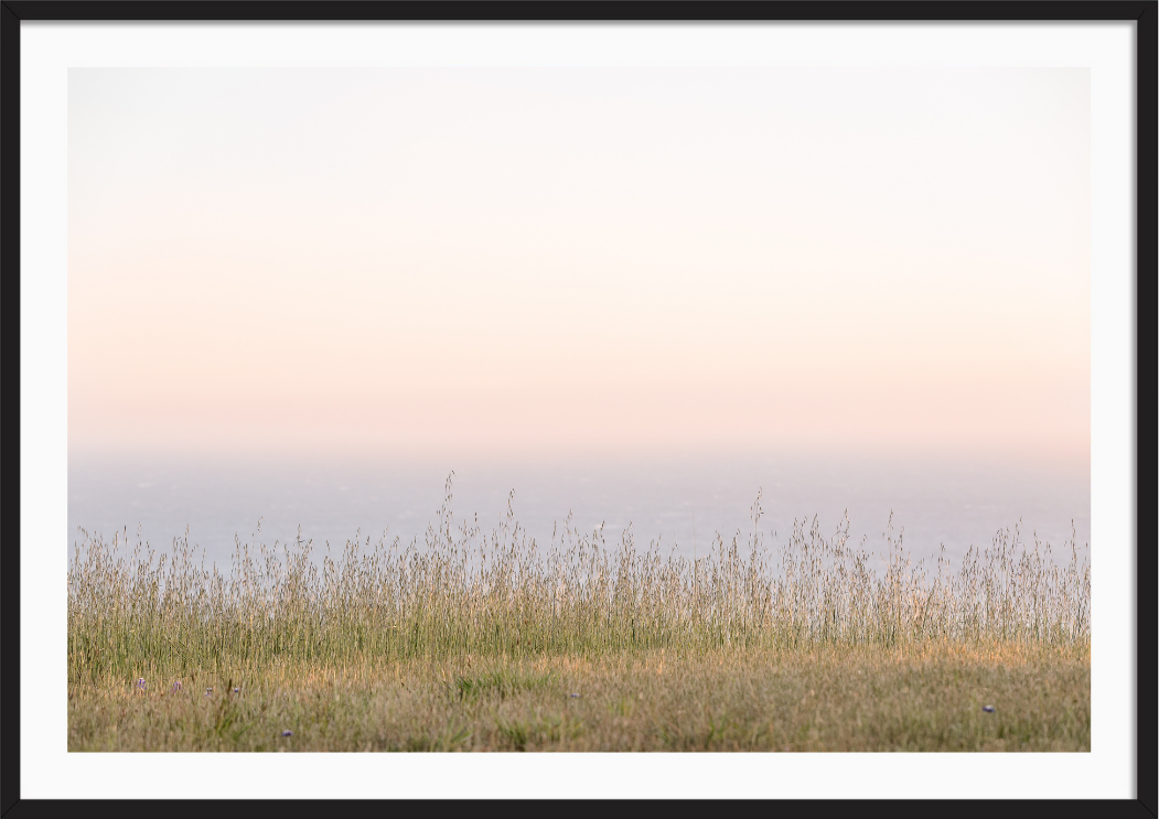 Sea Ranch Bluffs