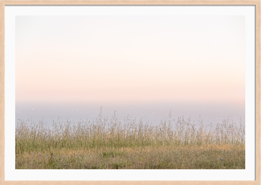 Sea Ranch Bluffs