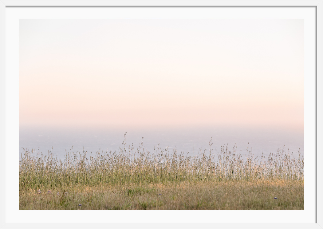 Sea Ranch Bluffs