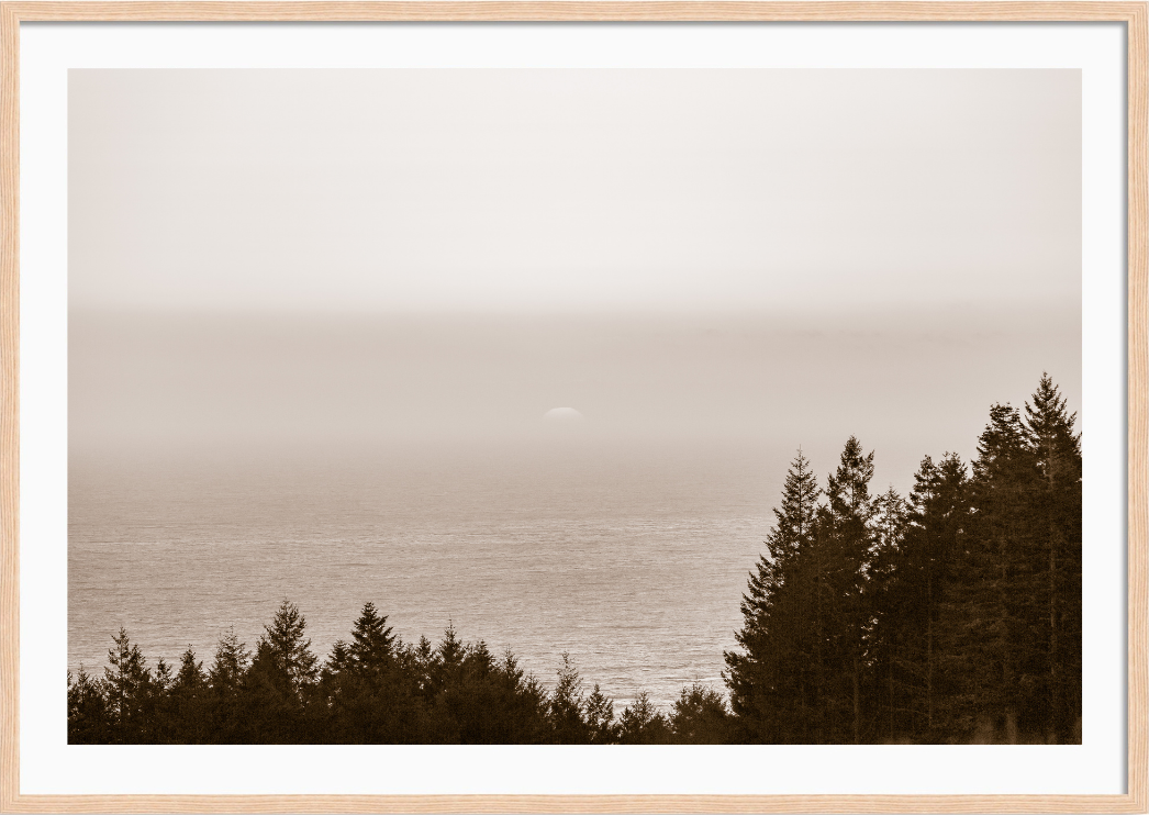 Sea Ranch Lookout