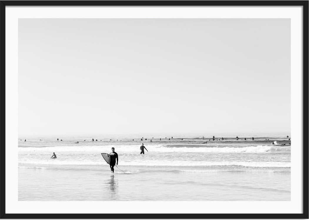 Surfs Up Del Mar