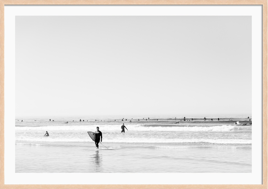 Surfs Up Del Mar