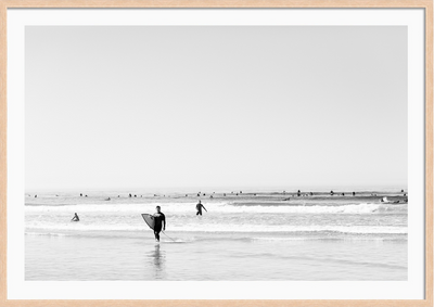 Surfs Up Del Mar